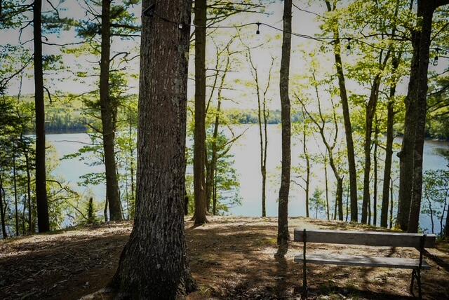 55 Lower Oak Point Road Winterport ME 04496