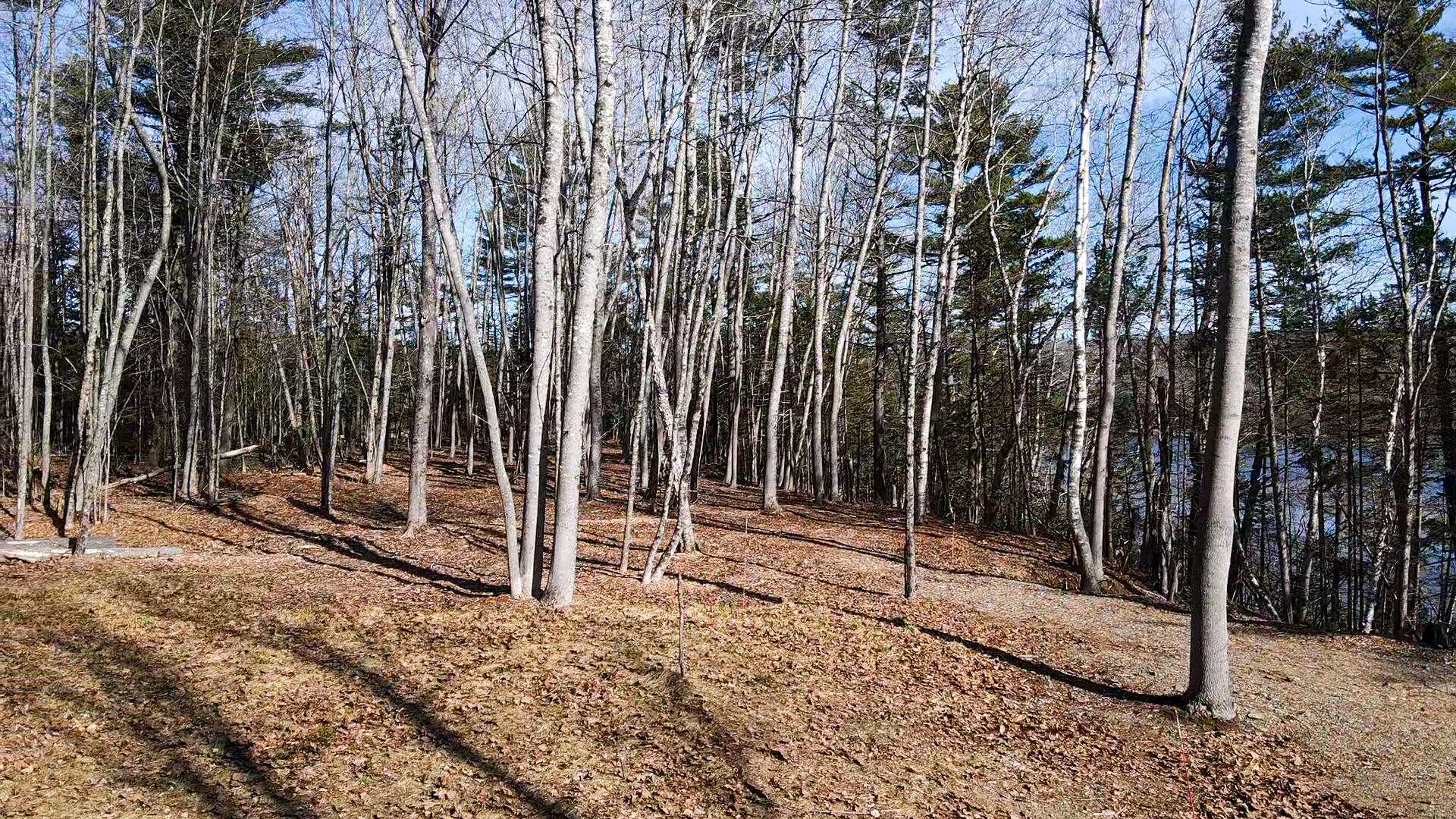 55 Lower Oak Point Road Winterport ME 04496