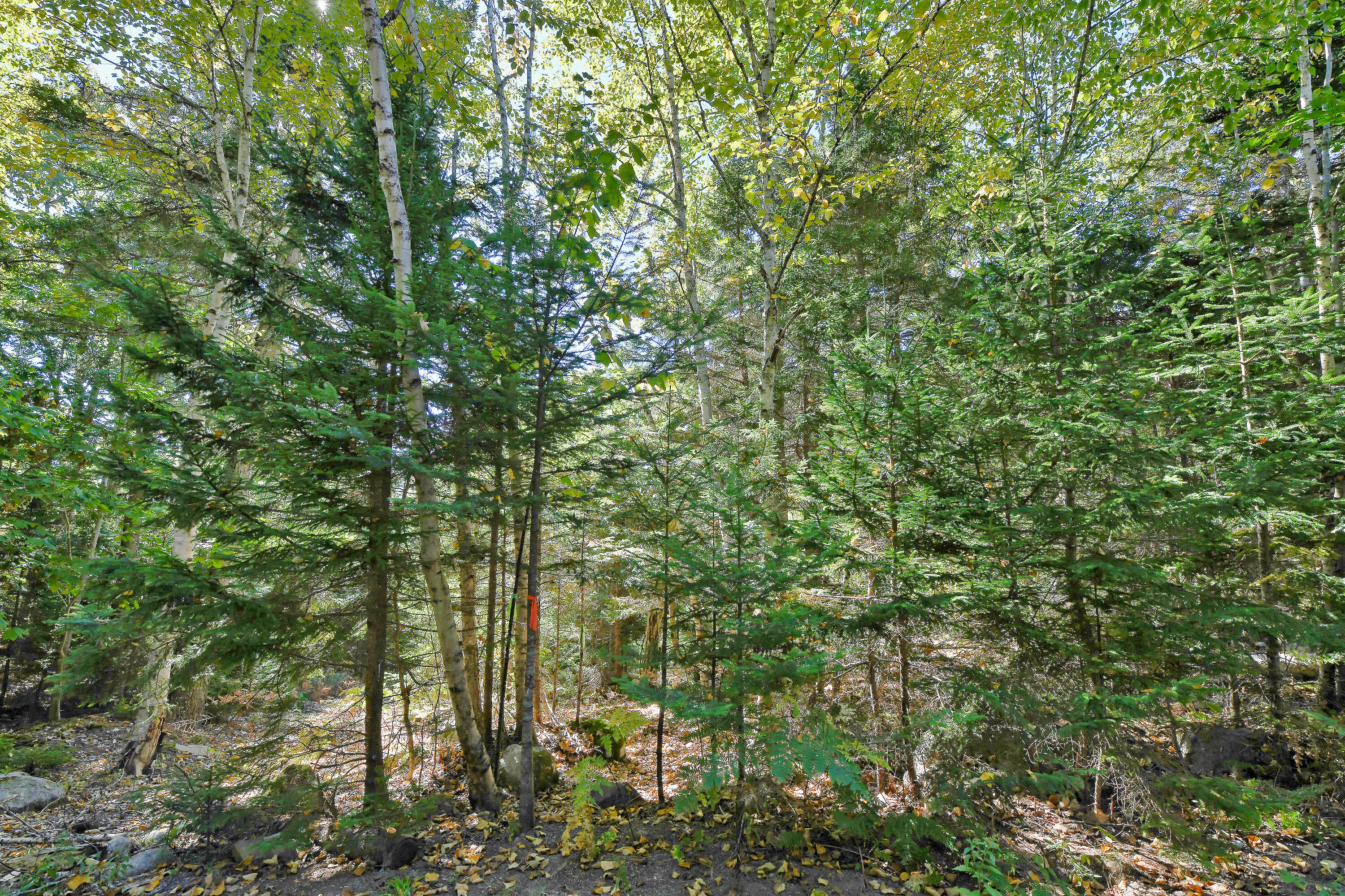 Lot 6 Sunset Road Brooksville ME 04617