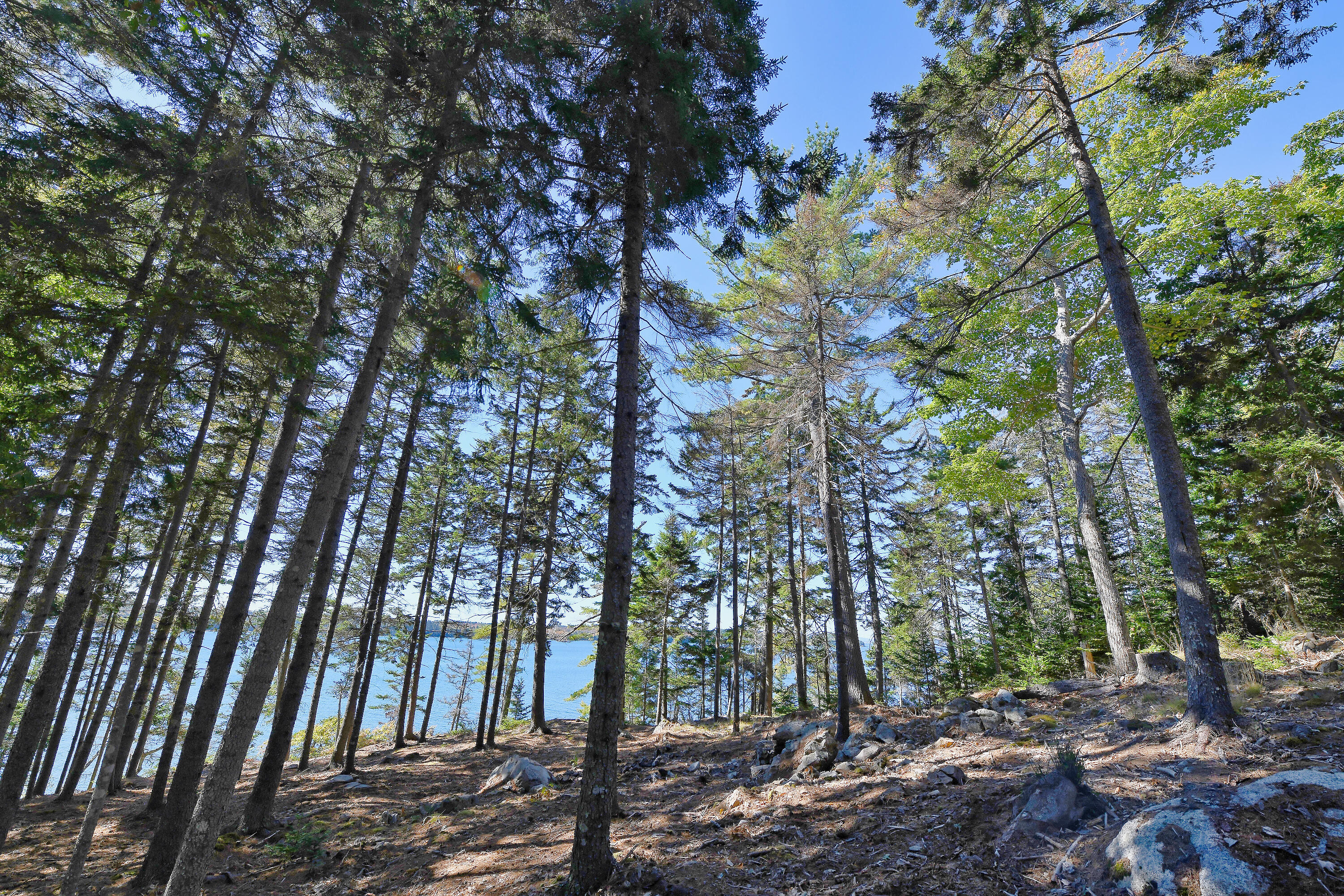 Lot 6 Sunset Road Brooksville ME 04617