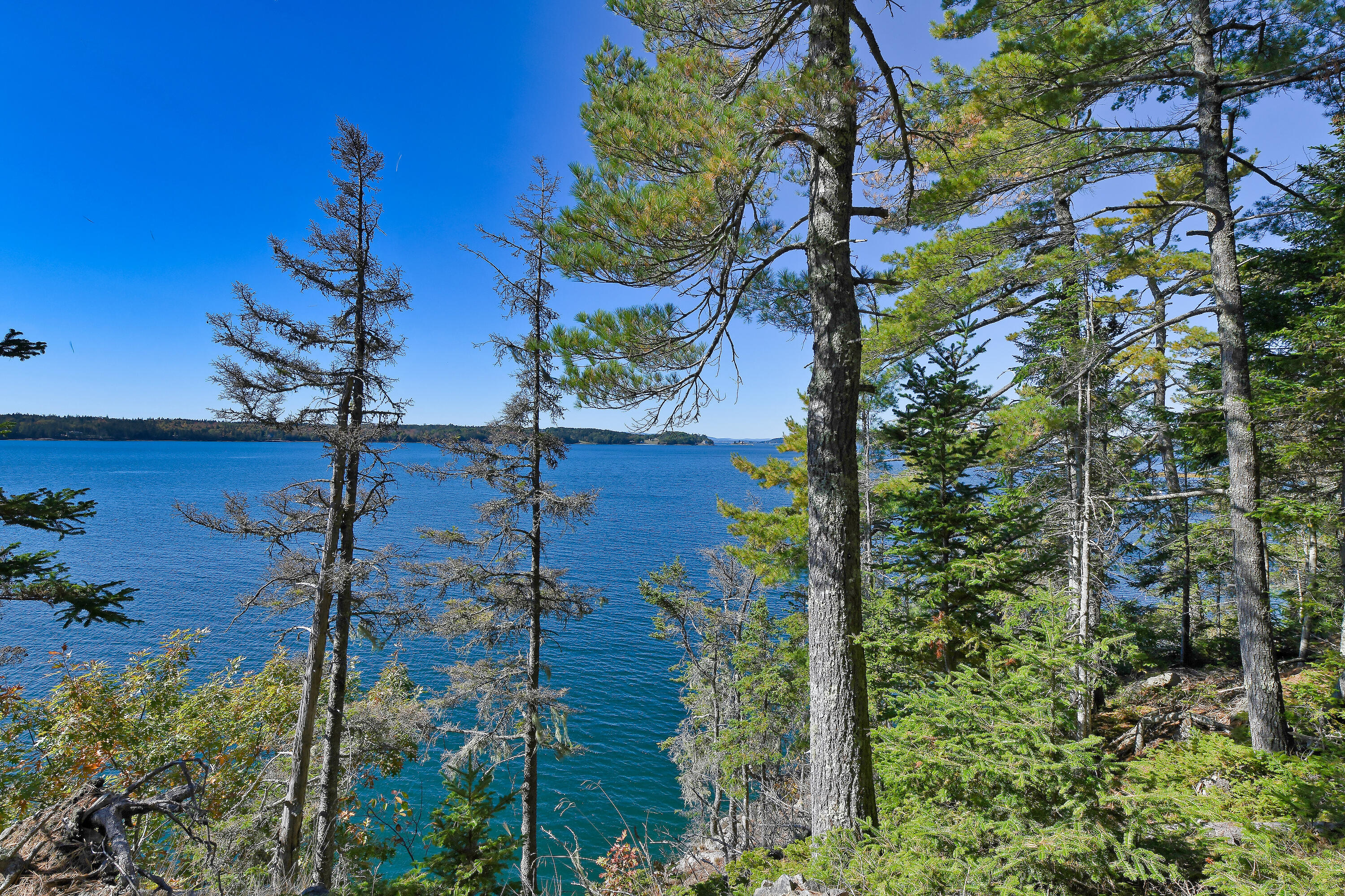 Lot 6 Sunset Road Brooksville ME 04617