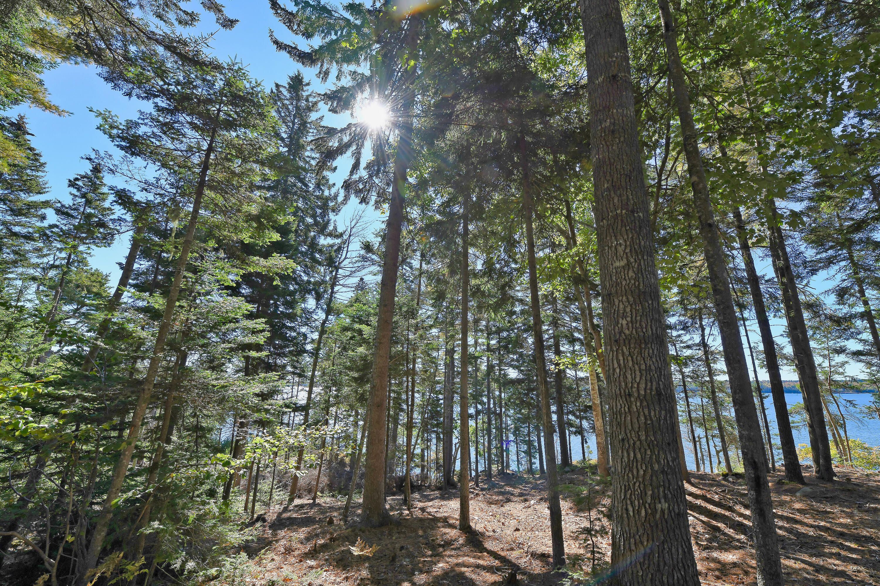 Lot 6 Sunset Road Brooksville ME 04617