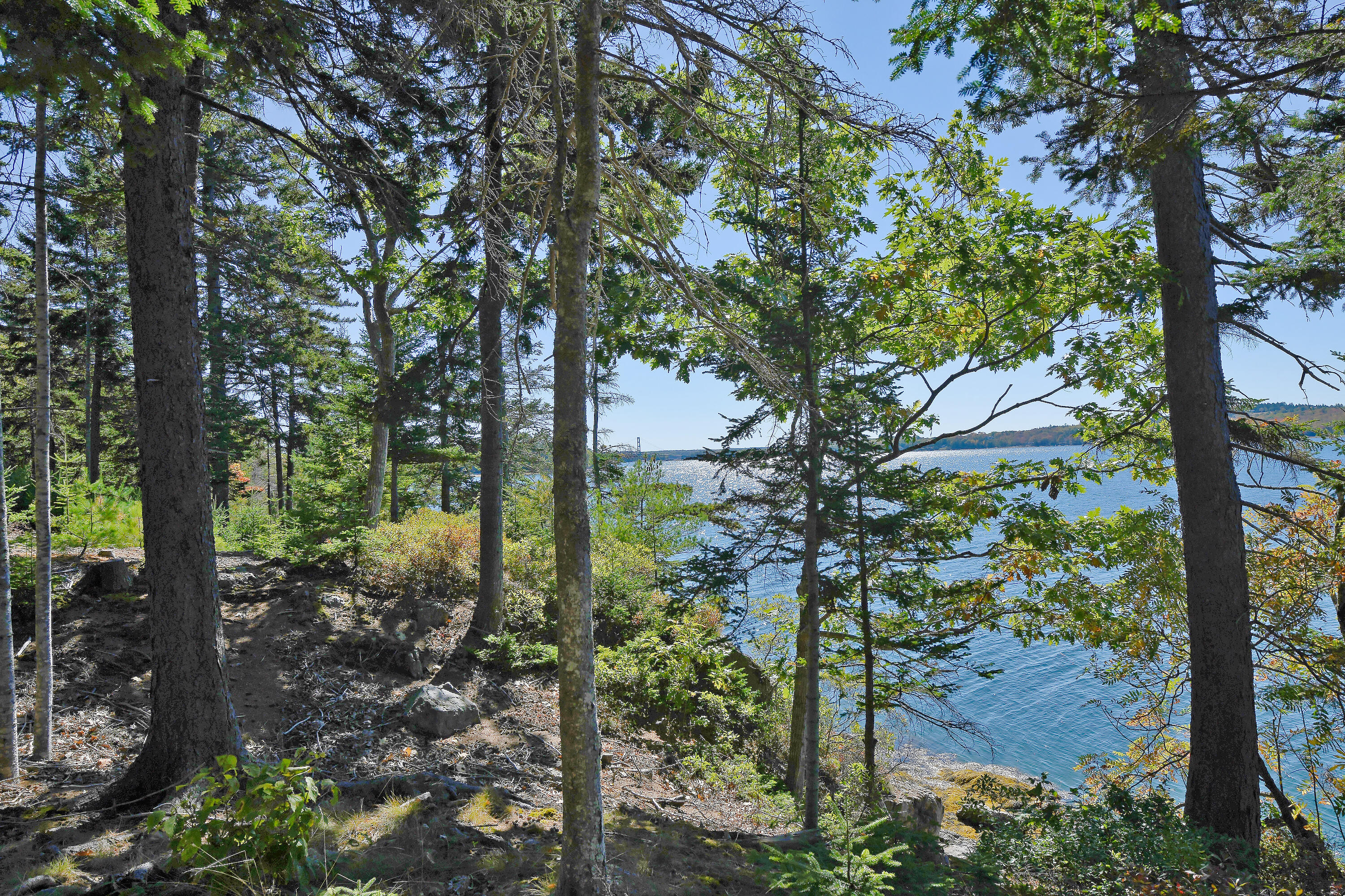 Lot 6 Sunset Road Brooksville ME 04617