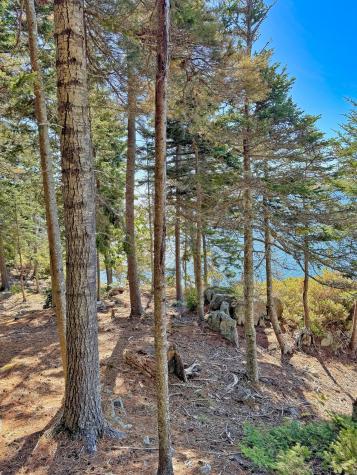 Lot 6 Sunset Road Brooksville ME 04617