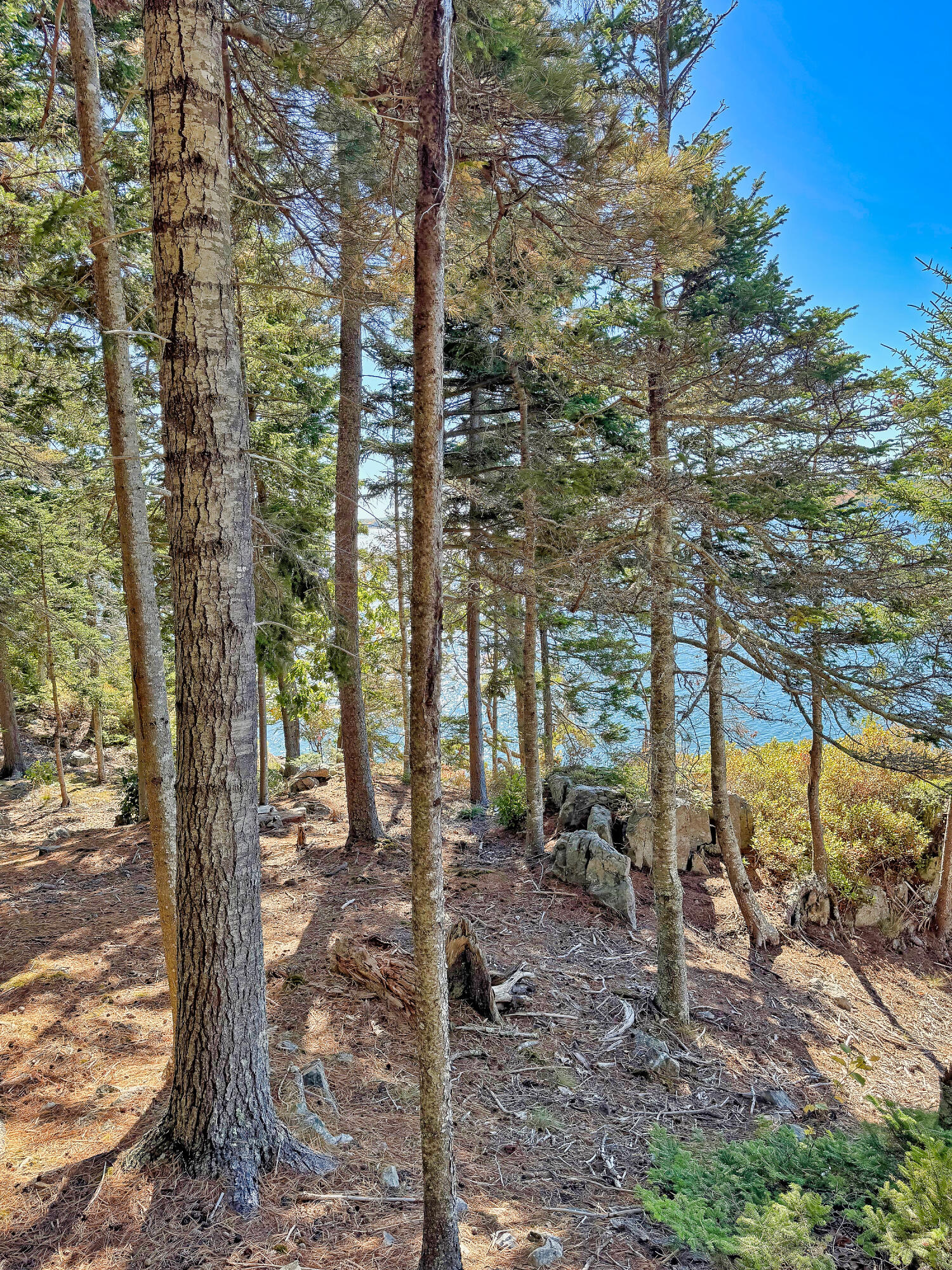 Lot 6 Sunset Road Brooksville ME 04617