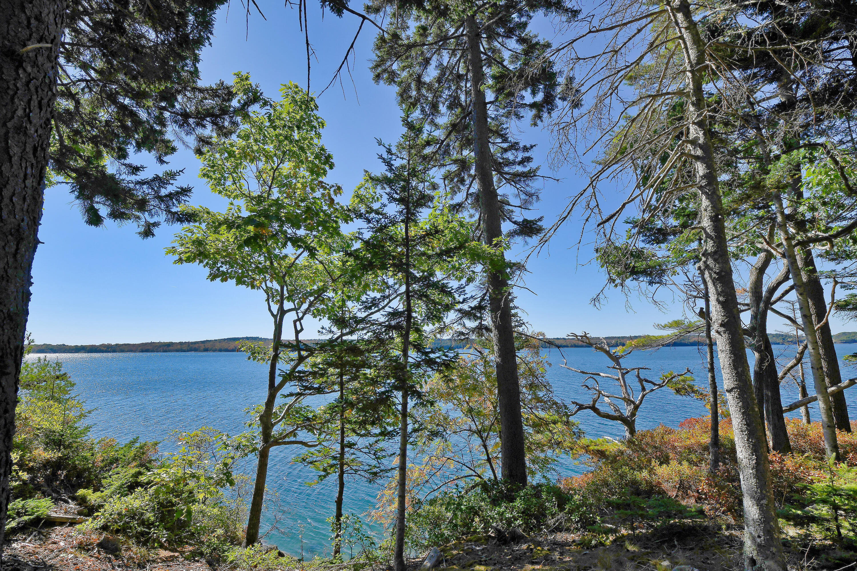 Lot 6 Sunset Road Brooksville ME 04617