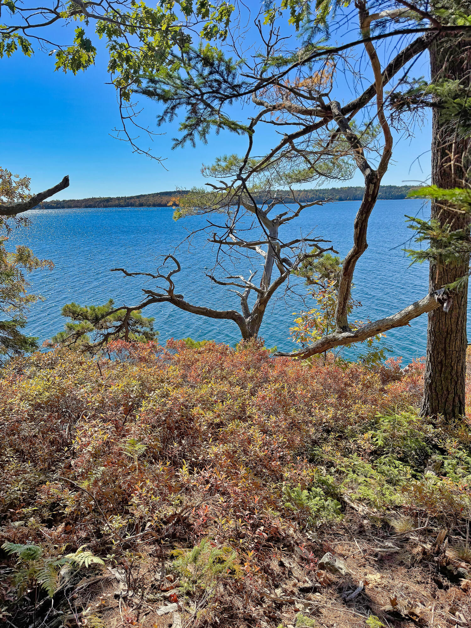 Lot 6 Sunset Road Brooksville ME 04617