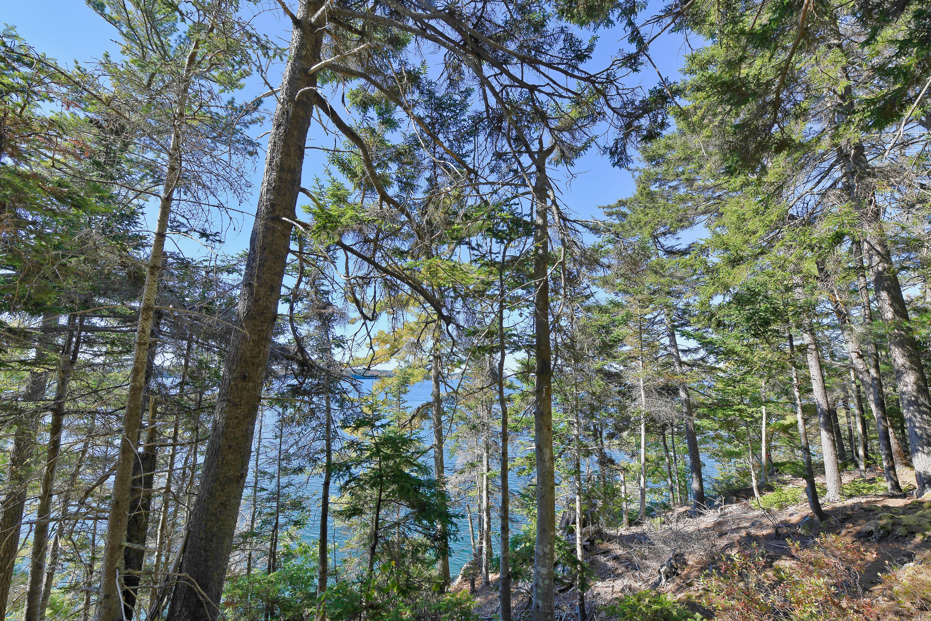 Lot 6 Sunset Road Brooksville ME 04617