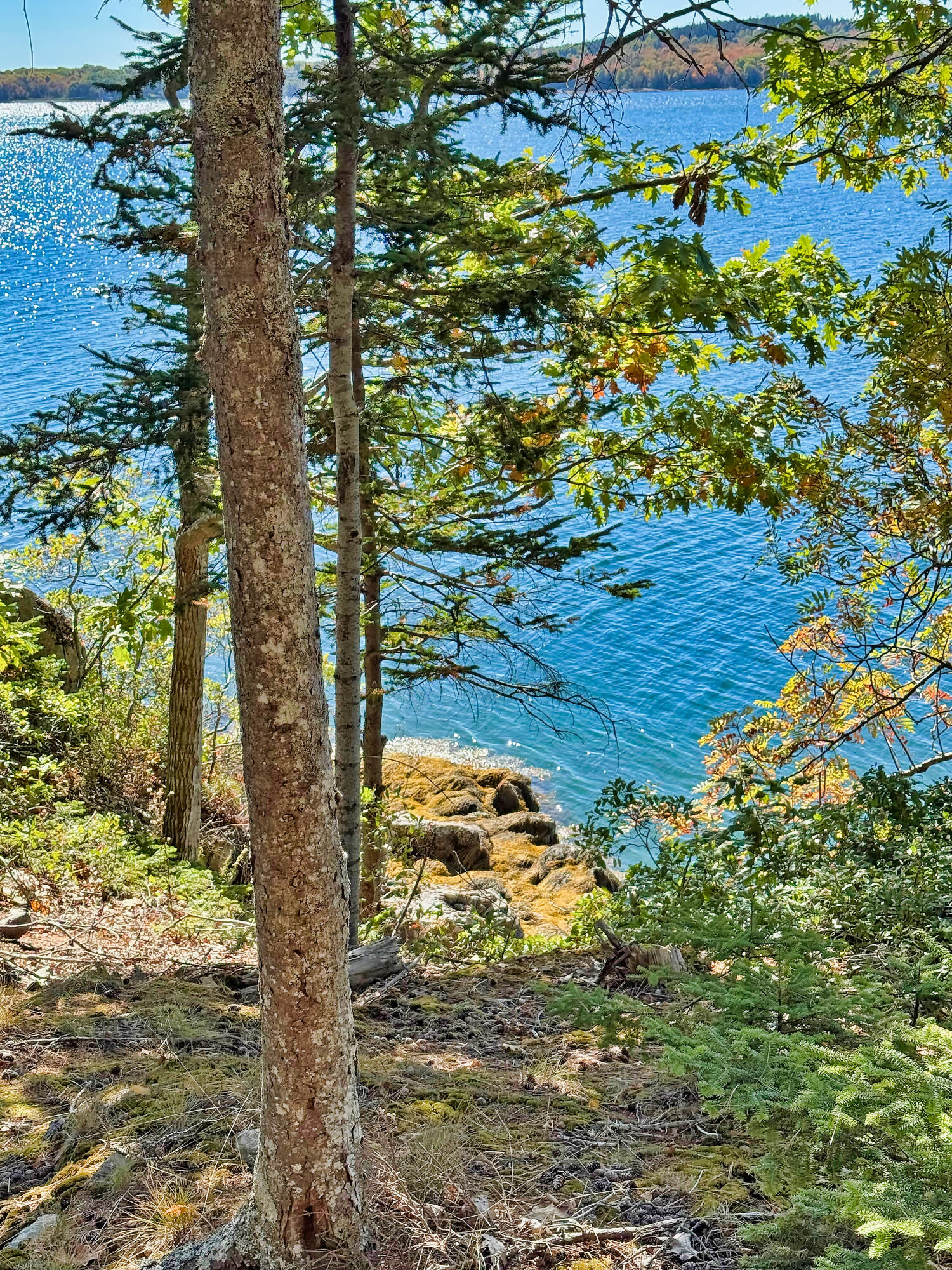 Lot 6 Sunset Road Brooksville ME 04617