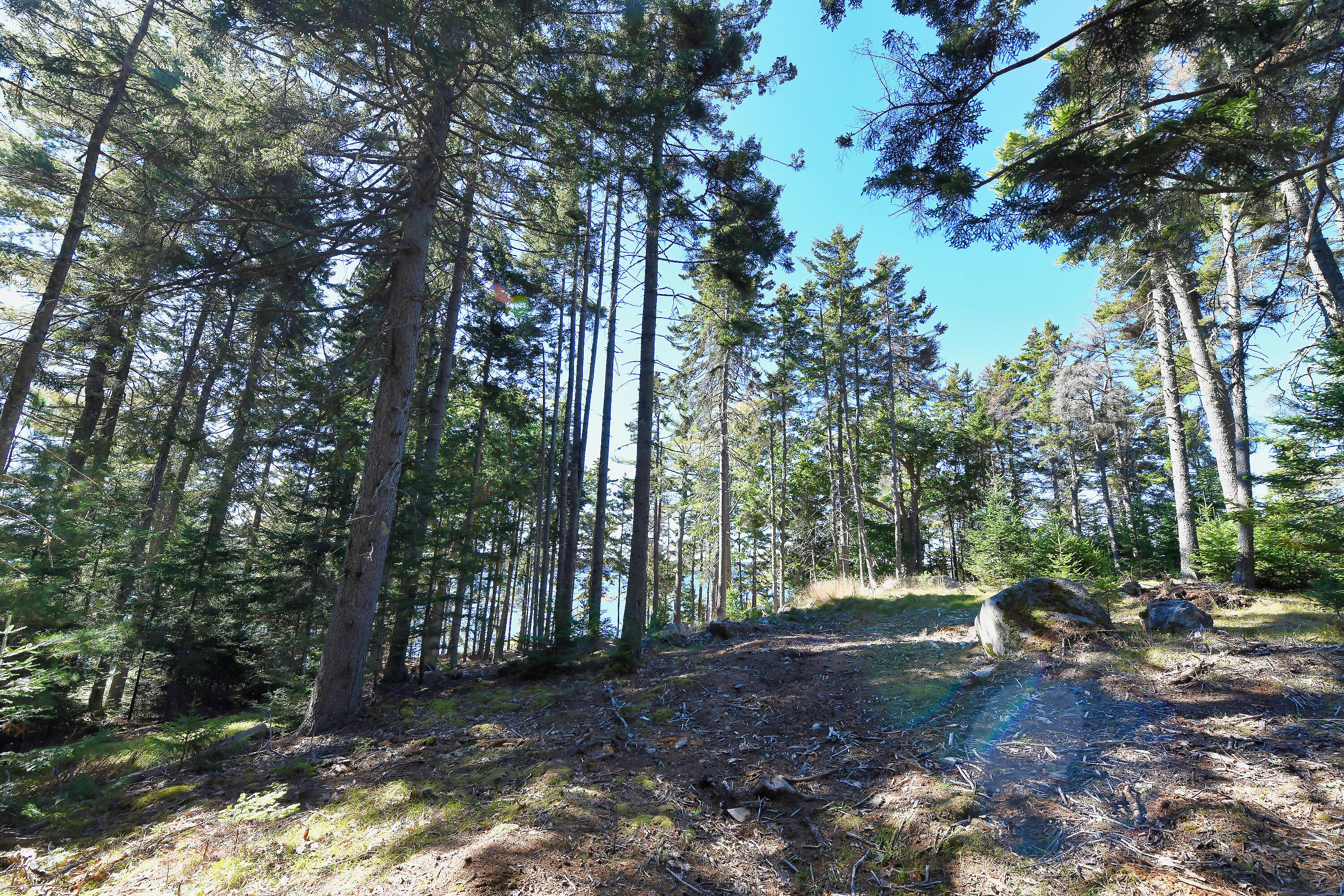 Lot 6 Sunset Road Brooksville ME 04617