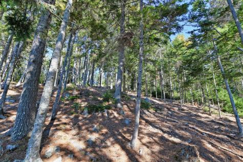 Lot 6 Sunset Road Brooksville ME 04617