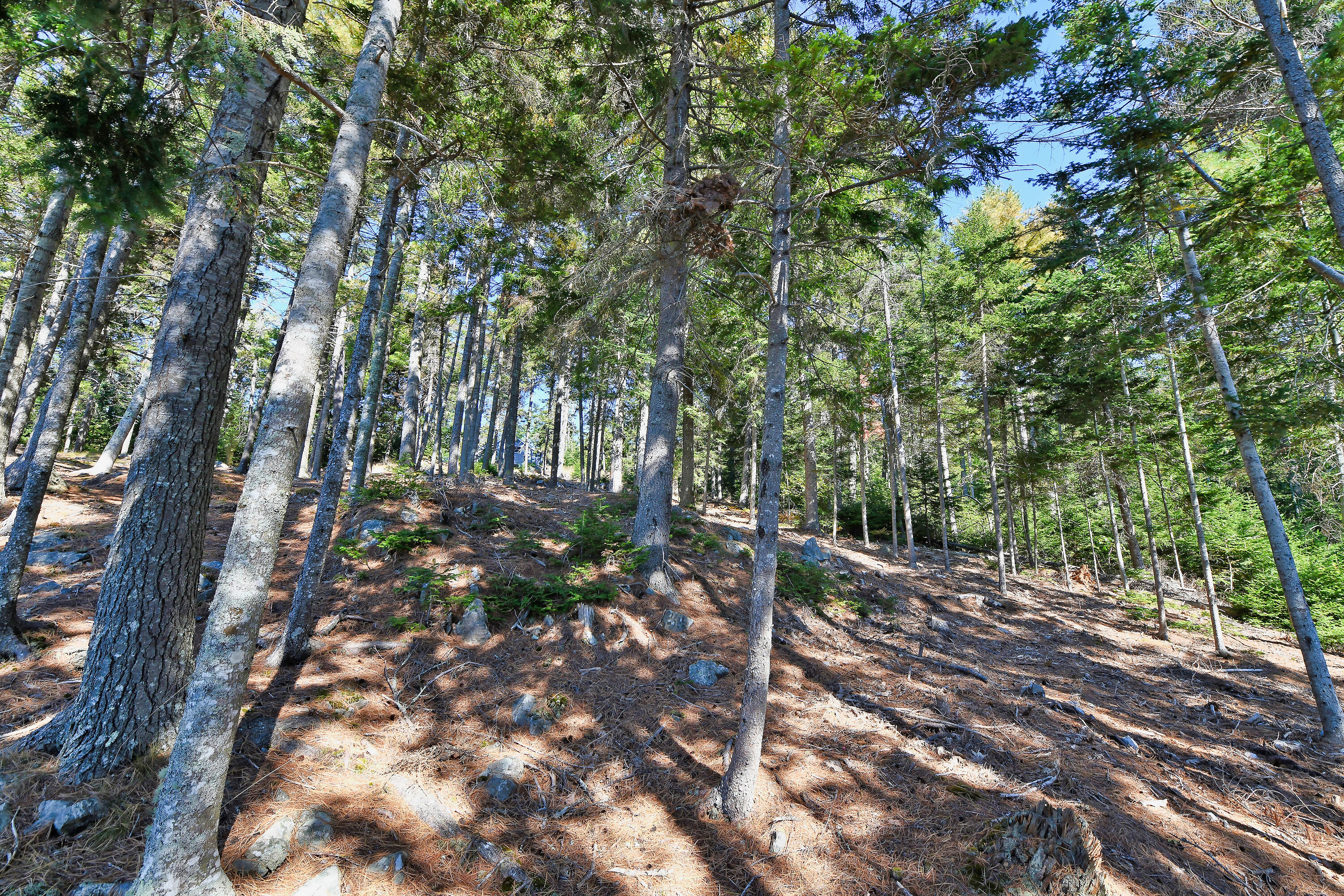 Lot 6 Sunset Road Brooksville ME 04617