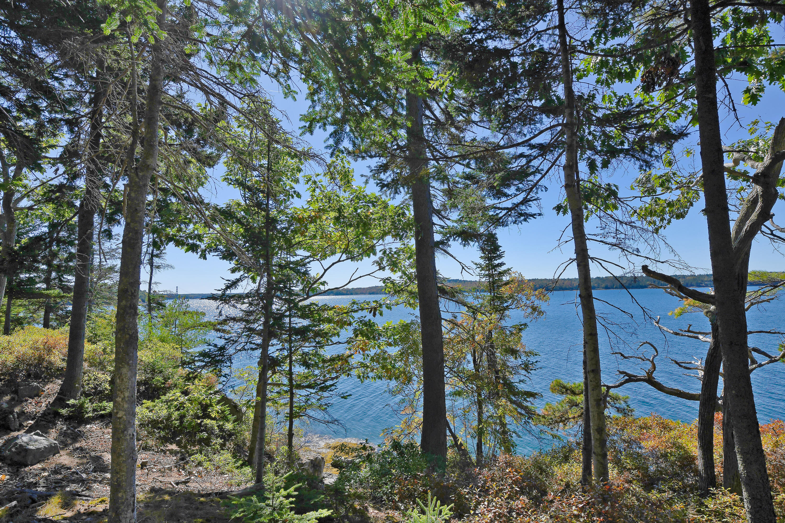 Lot 6 Sunset Road Brooksville ME 04617