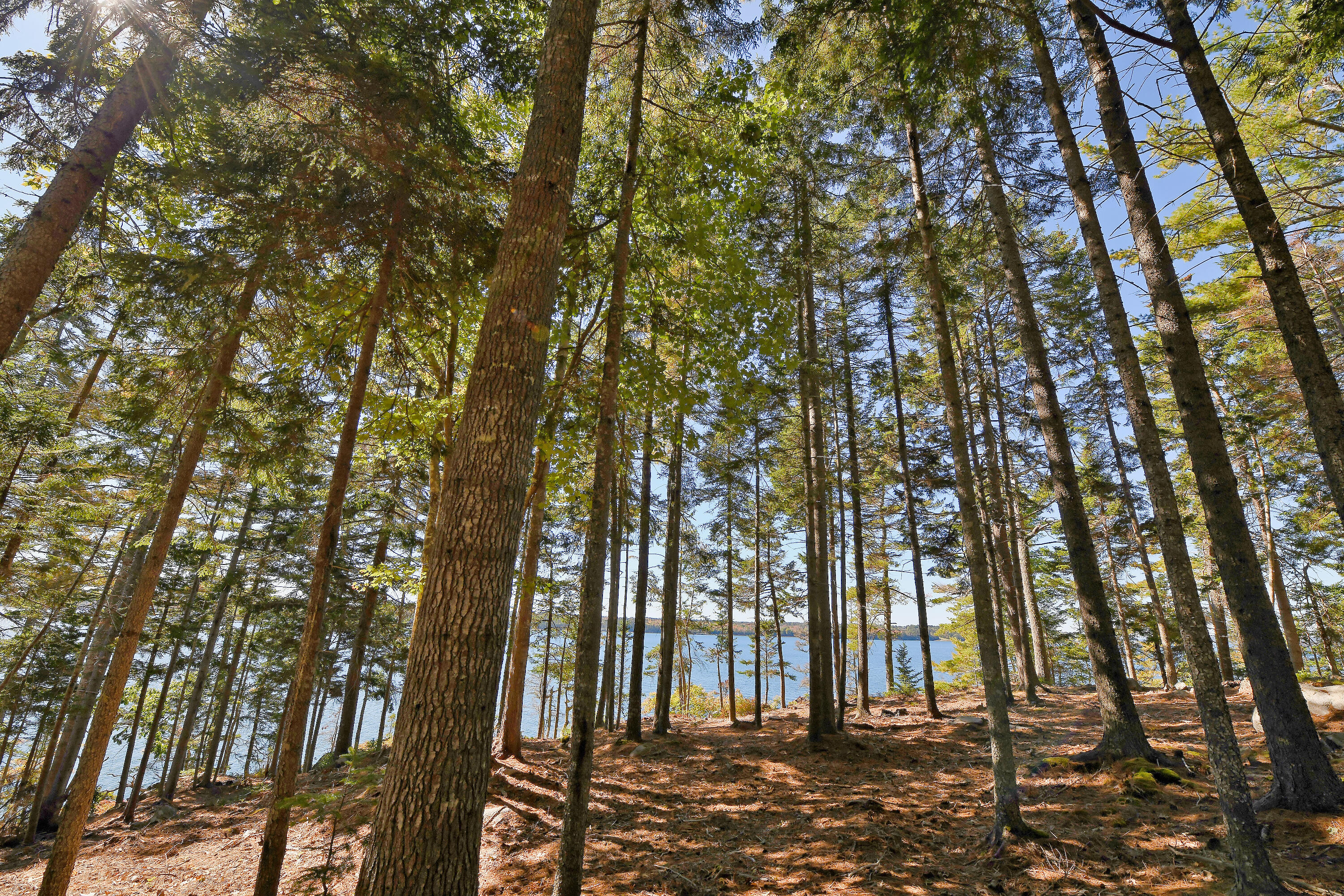 Lot 6 Sunset Road Brooksville ME 04617