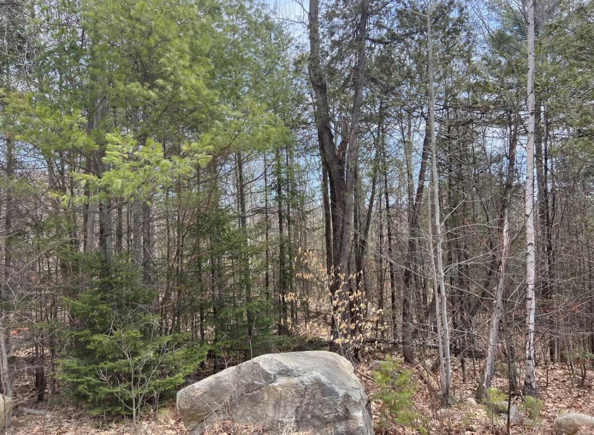 Lot #1 Yawkey Way Woodstock ME 04219