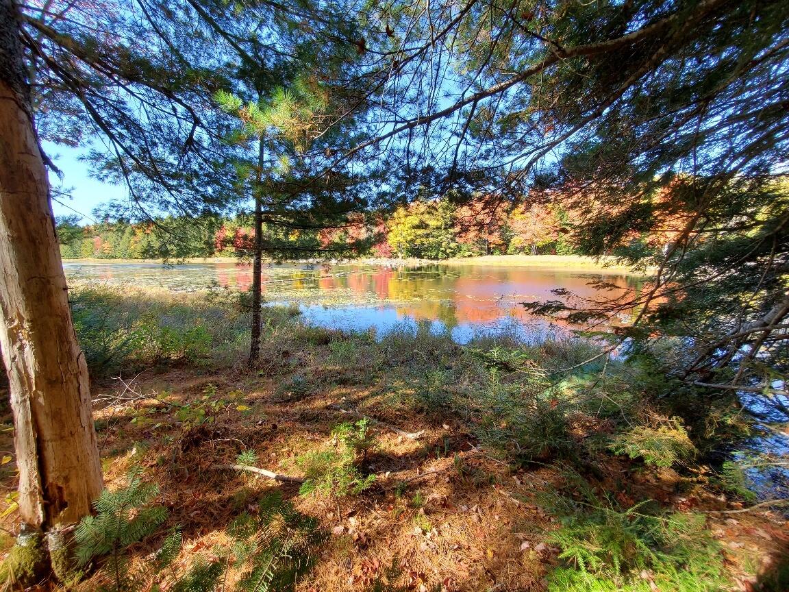 0 Clifford Lake Road Greenlaw Chopping Twp ME 04668