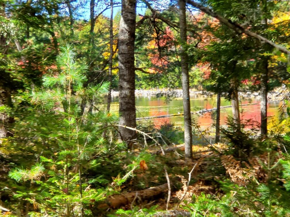 0 Clifford Lake Road Greenlaw Chopping Twp ME 04668