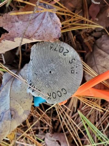 0 Clifford Lake Road Greenlaw Chopping Twp ME 04668