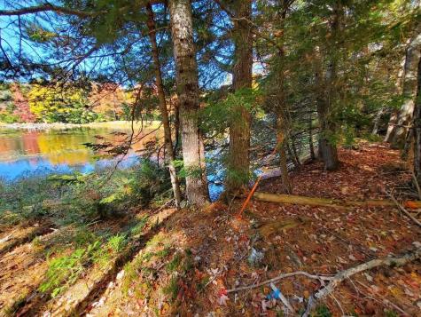 0 Clifford Lake Road Greenlaw Chopping Twp ME 04668