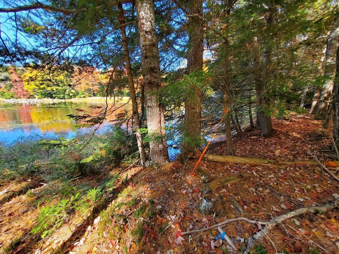 0 Clifford Lake Road Greenlaw Chopping Twp ME 04668