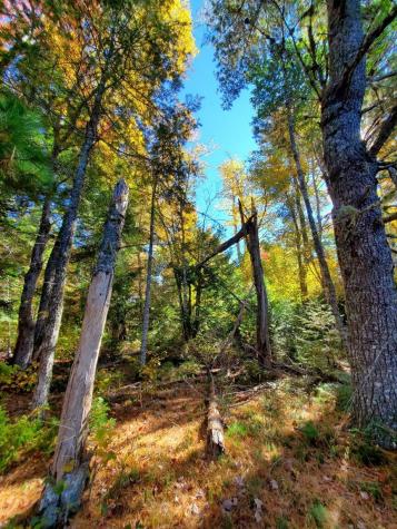 0 Clifford Lake Road Greenlaw Chopping Twp ME 04668