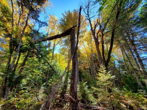 0 Clifford Lake Road Greenlaw Chopping Twp ME 04668