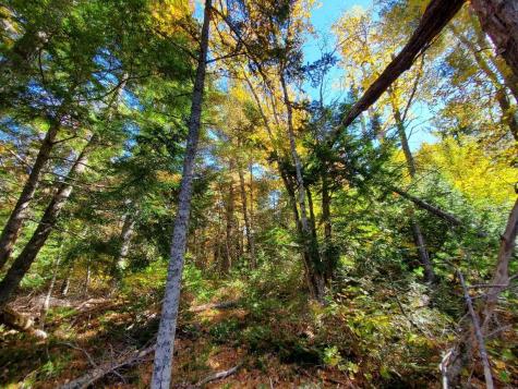0 Clifford Lake Road Greenlaw Chopping Twp ME 04668
