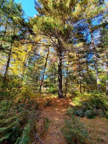 0 Clifford Lake Road Greenlaw Chopping Twp ME 04668