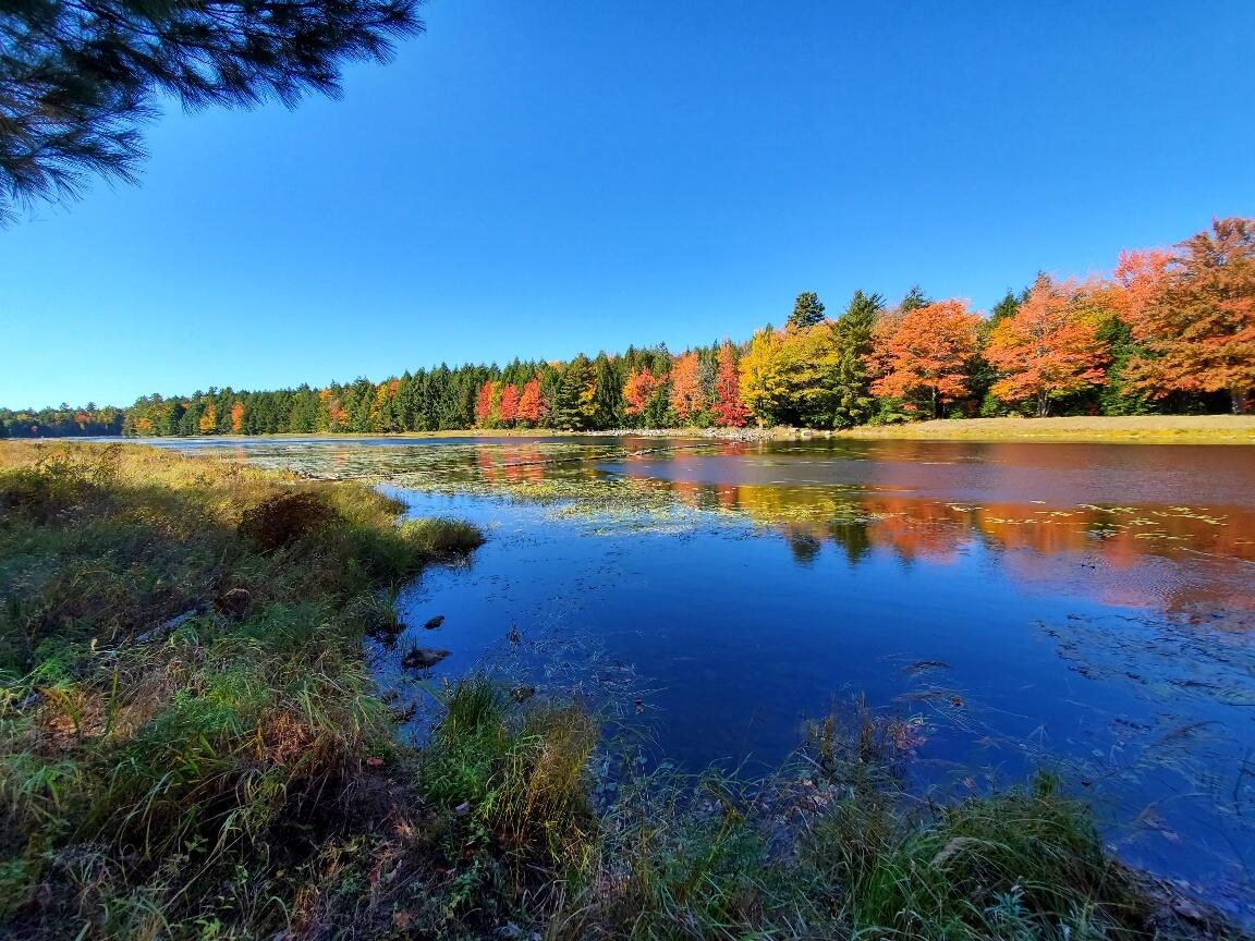 0 Clifford Lake Road Greenlaw Chopping Twp ME 04668