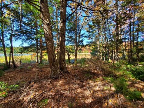 0 Clifford Lake Road Greenlaw Chopping Twp ME 04668