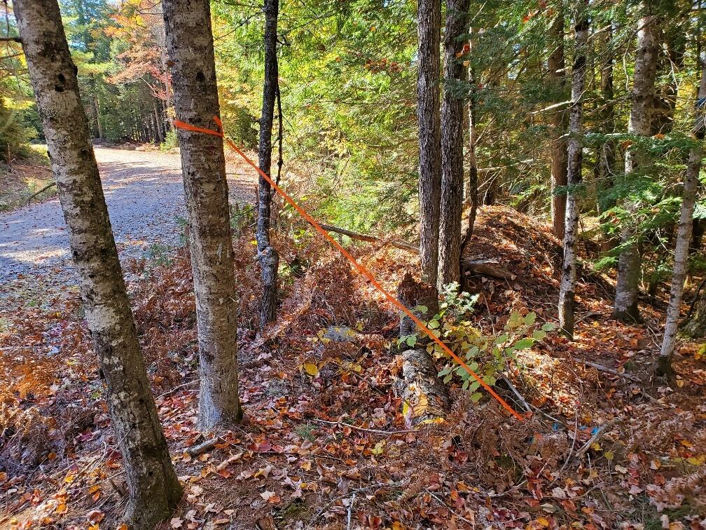 0 Clifford Lake Road Greenlaw Chopping Twp ME 04668