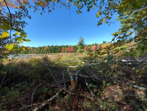 0 Clifford Lake Road Greenlaw Chopping Twp ME 04668