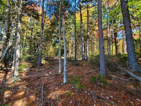 0 Clifford Lake Road Greenlaw Chopping Twp ME 04668