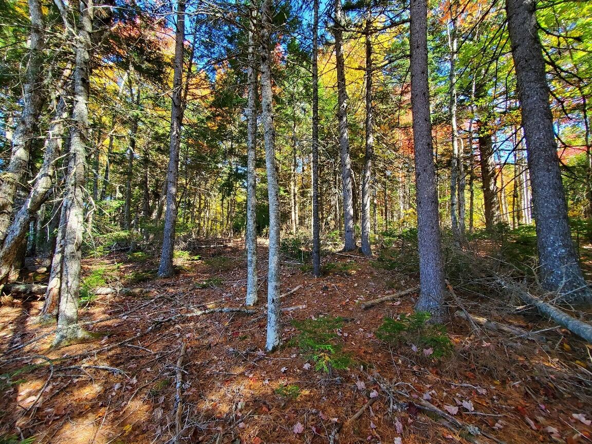 0 Clifford Lake Road Greenlaw Chopping Twp ME 04668