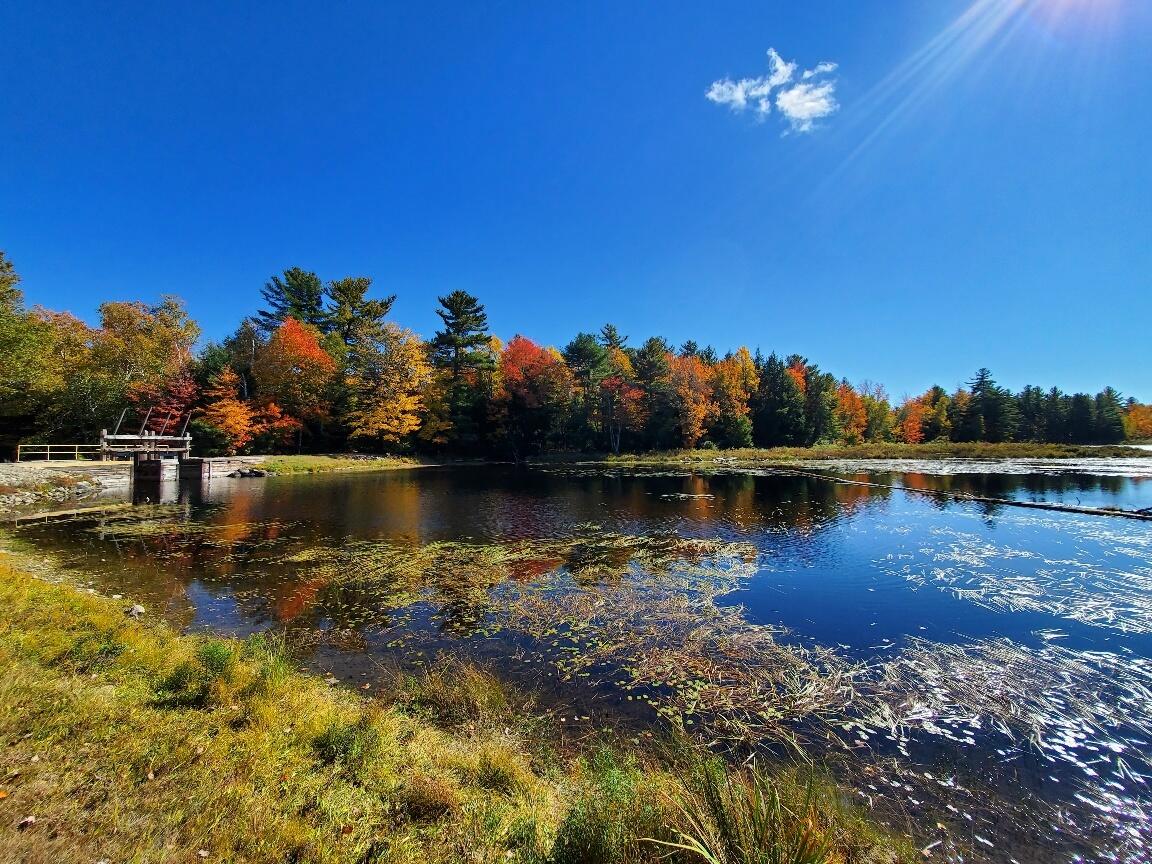 0 Clifford Lake Road Greenlaw Chopping Twp ME 04668