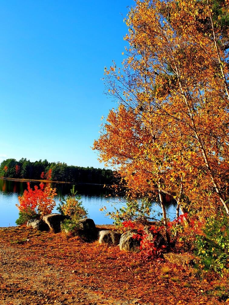 0 Clifford Lake Road Greenlaw Chopping Twp ME 04668