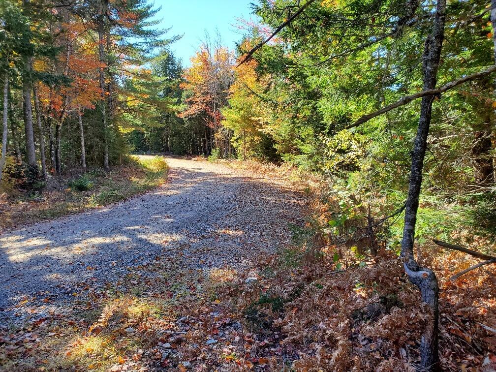 0 Clifford Lake Road Greenlaw Chopping Twp ME 04668