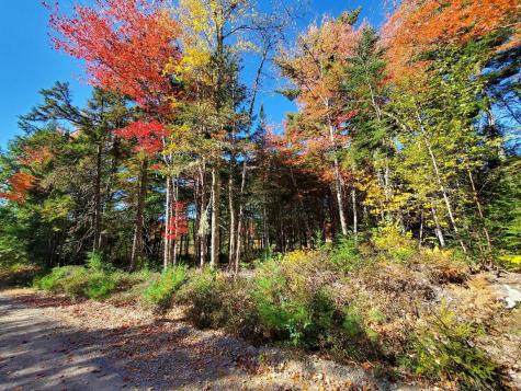 0 Clifford Lake Road Greenlaw Chopping Twp ME 04668