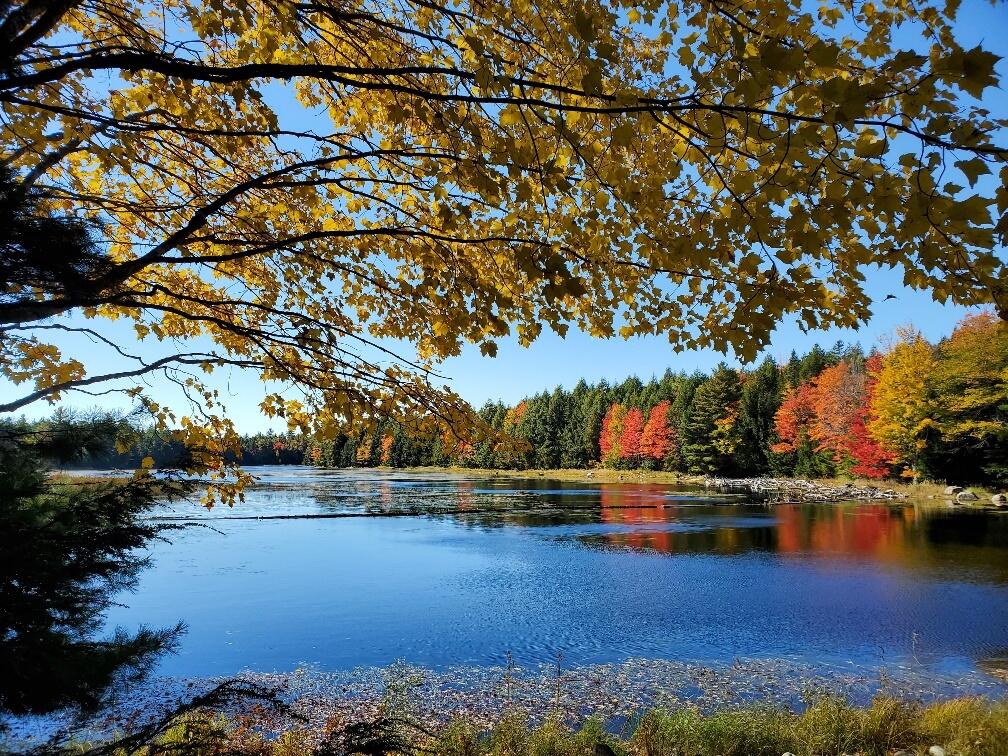 0 Clifford Lake Road Greenlaw Chopping Twp ME 04668