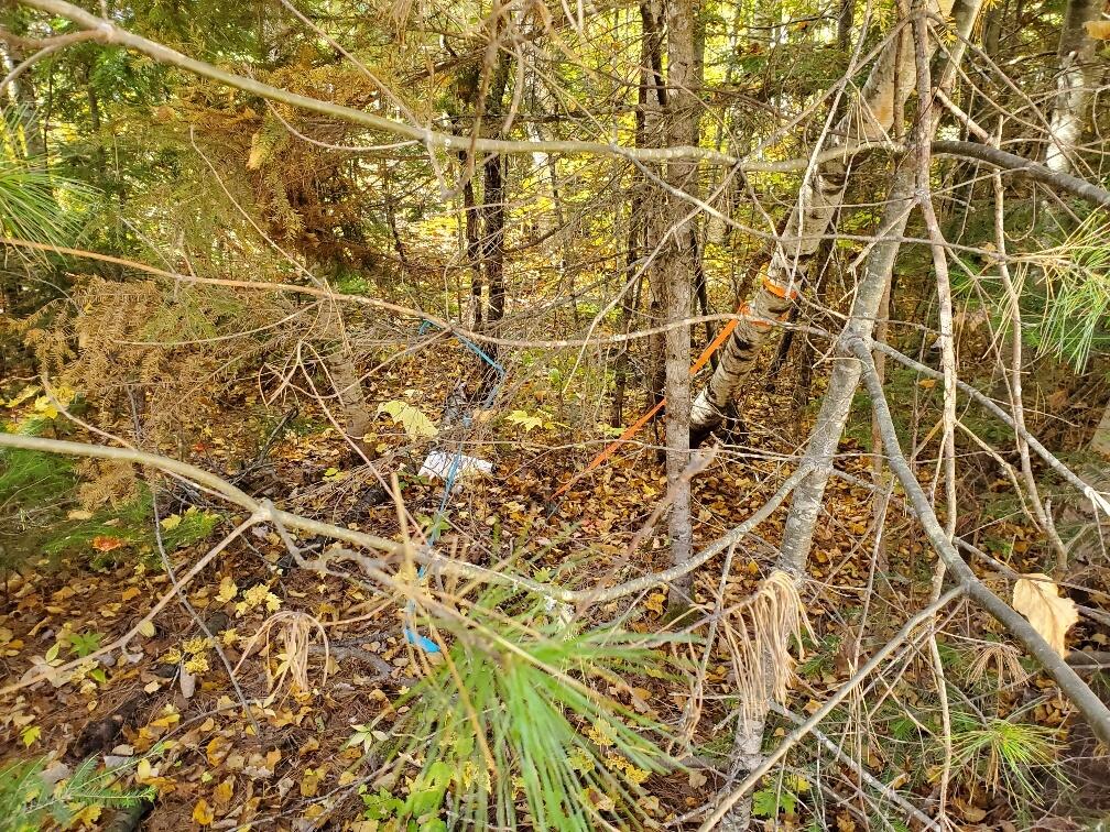 0 Clifford Lake Road Greenlaw Chopping Twp ME 04668