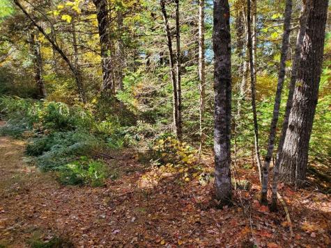 0 Clifford Lake Road Greenlaw Chopping Twp ME 04668