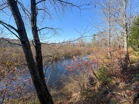 Lot 5 Riverbend Road Carthage ME 04224