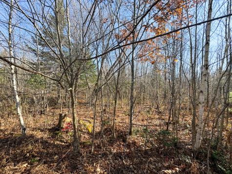Lot 5 Riverbend Road Carthage ME 04224