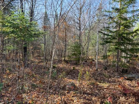 Lot 5 Riverbend Road Carthage ME 04224