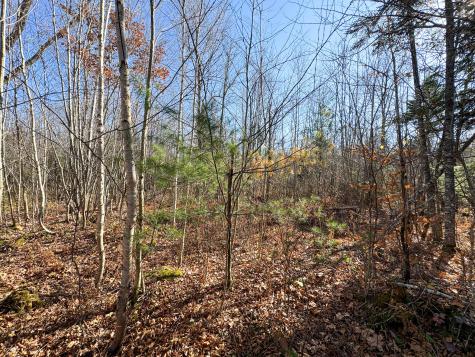 Lot 5 Riverbend Road Carthage ME 04224