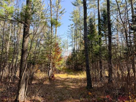Lot 5 Riverbend Road Carthage ME 04224