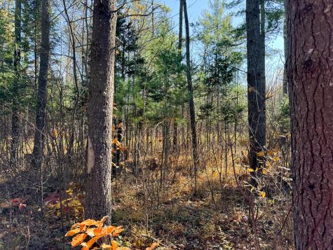 Lot 5 Riverbend Road Carthage ME 04224