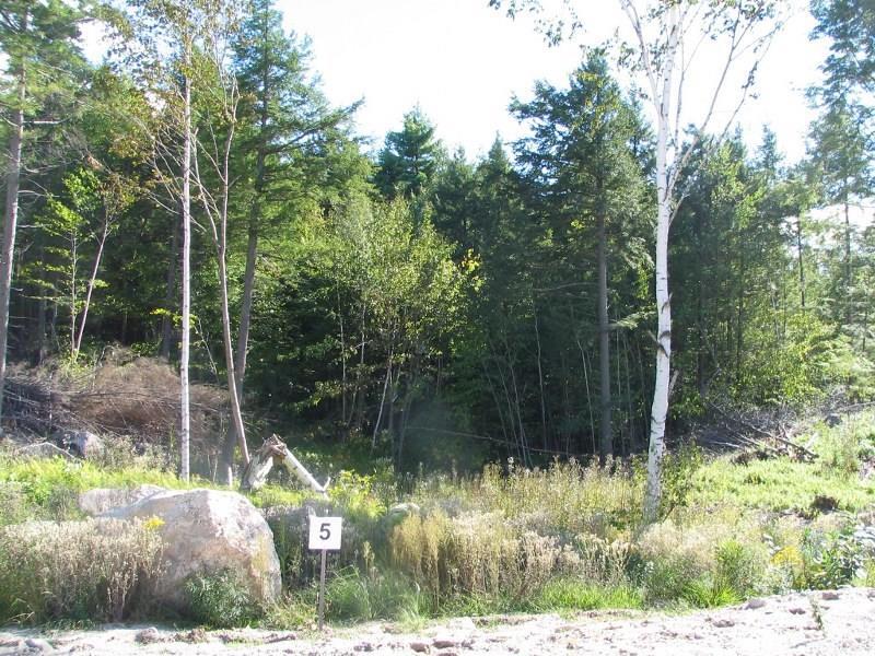 Lot 5 Rocky Ridge Road Naples ME 04055