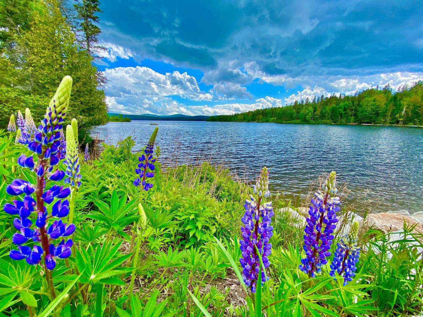 Tbd Mingo Loop Road Rangeley ME 04970