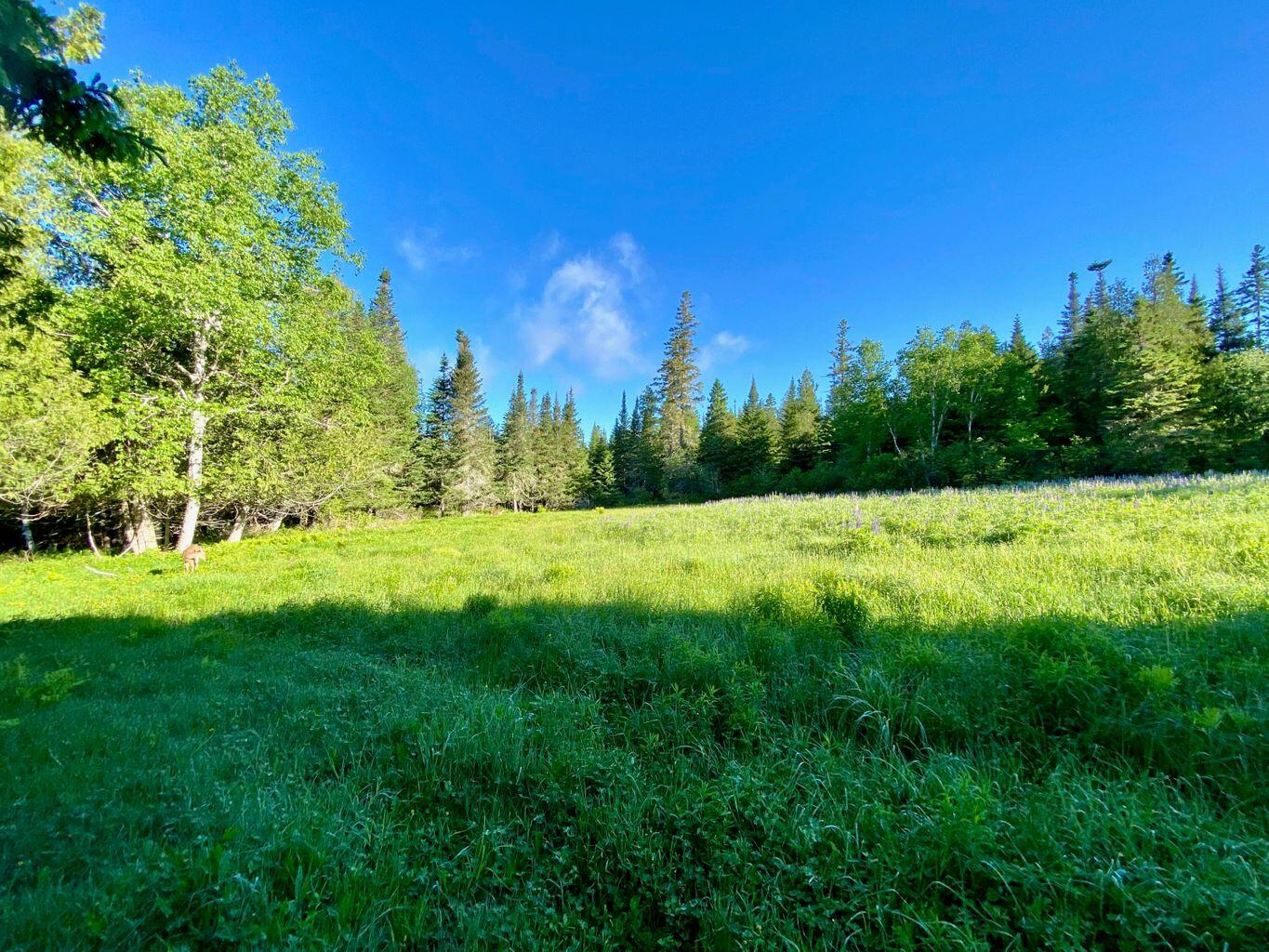 Tbd Mingo Loop Road Rangeley ME 04970